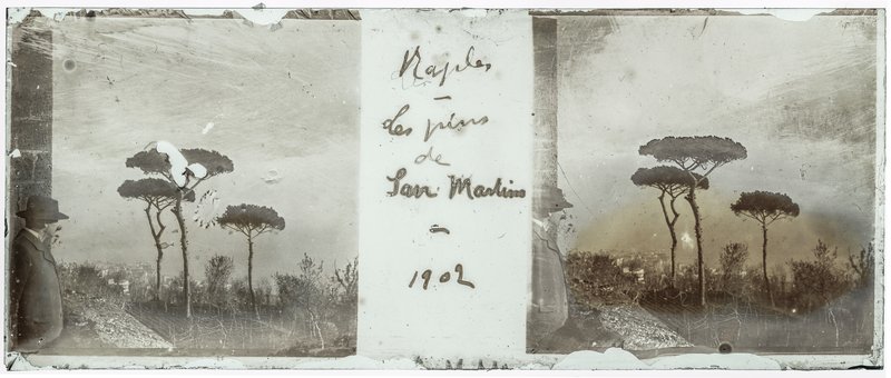 Naples - Les pins de San Martino - 1902 — Italie-Naples San Martino — 1902