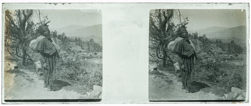 Algérie - 1929 — Algérie — 1929