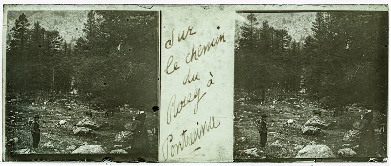 Sur le chemin du Rosey à Pontresina — Suisse-Pontresina -