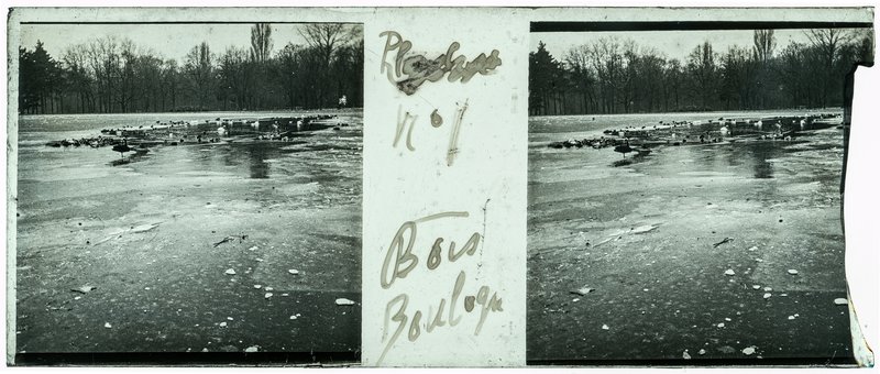 n°1 Bois de Boulogne — France-Paris -