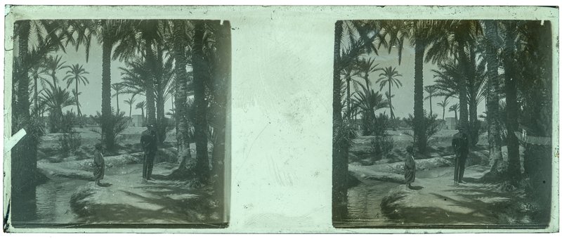 Algérie - 1929 — Algérie — 1929