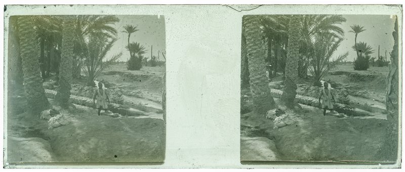 Algérie - 1929 — Algérie — 1929