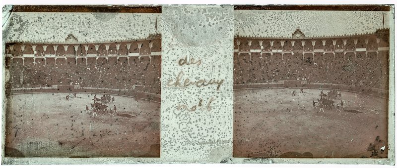 des chevaux morts — Espagne-Barcelone arène -