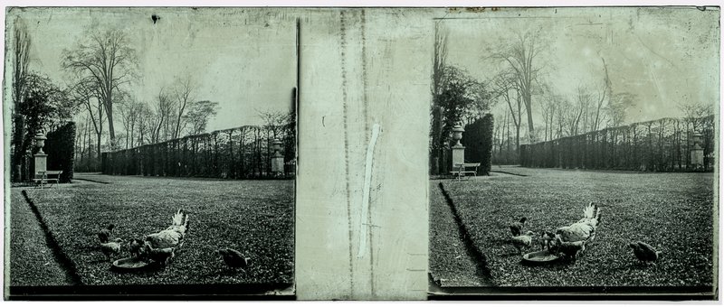 France-Lille-Esquermes — France-Lille-Esquermes