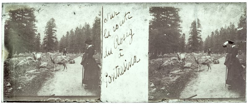 Sur la route du Roseg à Pontresina — Suisse-Pontresina -