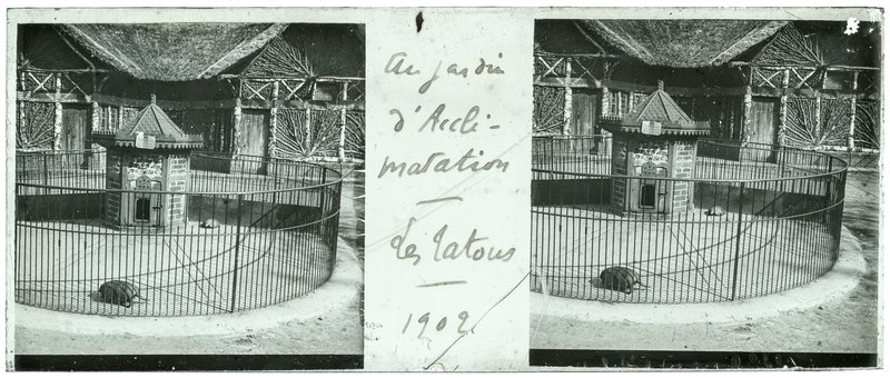 Au jardin d'Acclimatation - Les Tatous - 1902 — France-Paris-Jardin d'acclimatation — 1902