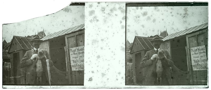 France-Blonville-sur-Mer - 1927 - Phoque vivant des mers glaciales trouvé par le maitre baigneur sur la plage de Blonville — France-Blonville-sur-Mer — 1927