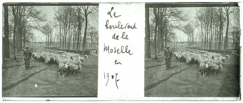 Le boulevard de la Moselle en 1907 — France-Lille-Boulevard de la Moselle — 1907