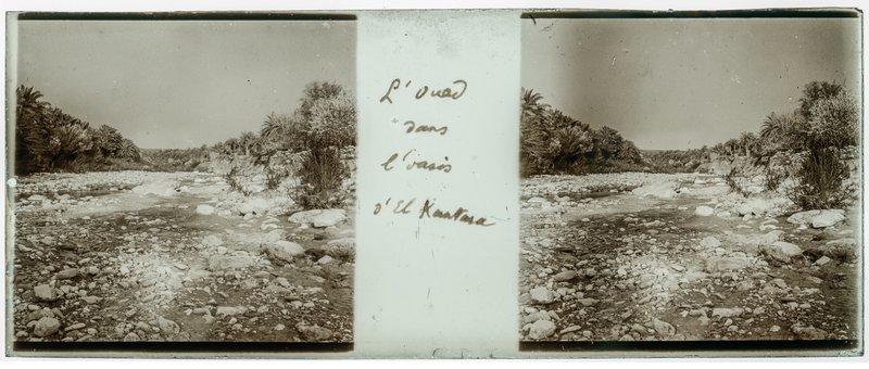 L'oued dans l'oasis d'el Kantara — Algérie-El Kantara Oued — 1929
