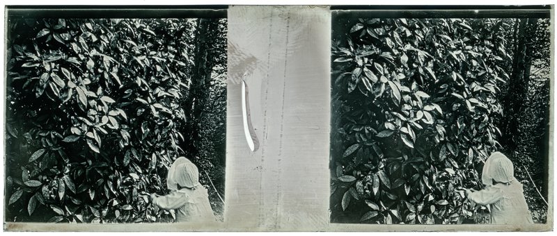 France-Lille-Esquermes - 1907 — France-Lille-Esquermes — 1907