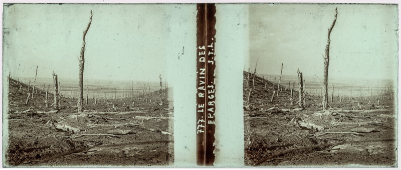 777 Le ravin des éparges S.T.L — France-Meuse Crête des Eparge -