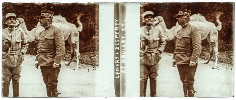 Généraux F. d'Espèrey et Brulart S.T.L