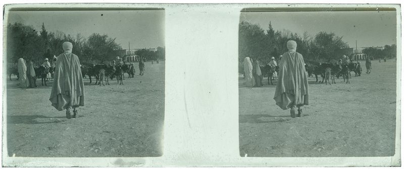 Algérie - 1929 — Algérie — 1929