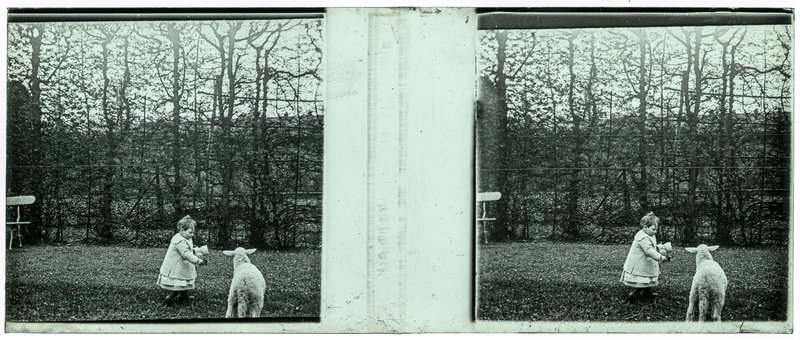 France-Lille-Esquermes — France-Lille-Esquermes