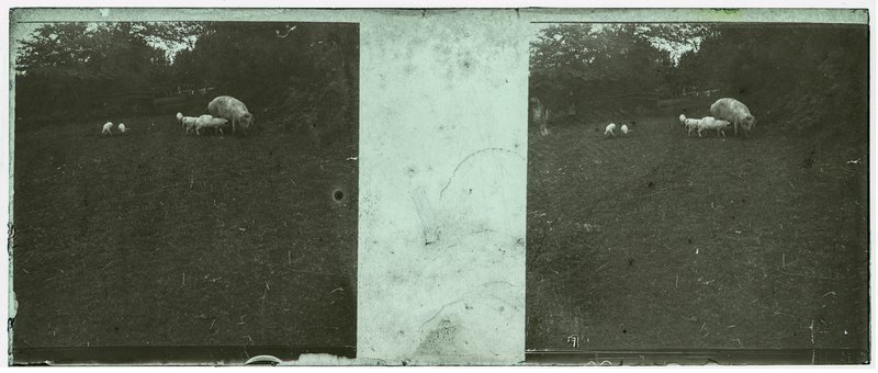 France-Villers-sur-mer - 1921 — France-Villers-sur-mer — 1921