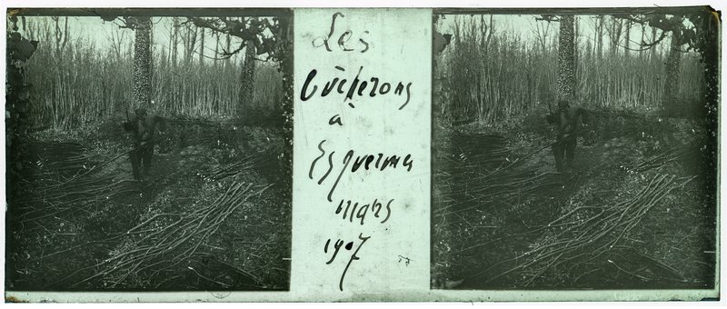 Les bucherons à Esquermes mars 1907 — France-Lille-Esquermes — 1907