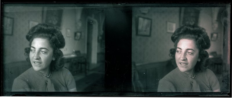 France-Val-du-Layon La bodière — France-Val-du-Layon La bodière