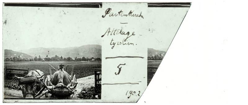 Partenkirchen - Attelage tyrolien - 5 - 1902 — Allemagne-Partenkirchen — 1902