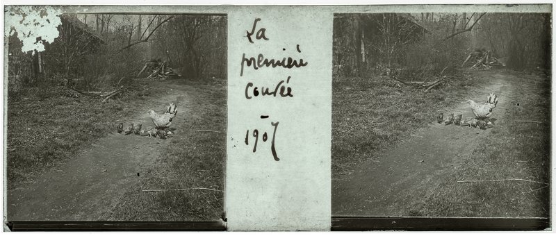 La première couvée - 1907 — France-Lille-Esquermes — 1907