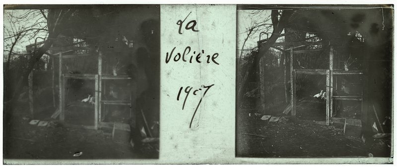 La volière 1907 — France-Lille-Esquermes — 1907