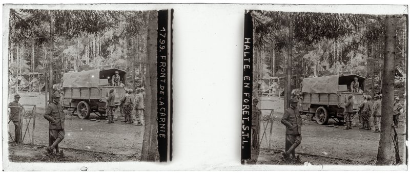 1799 - Front de la carnie halte en forêt S.T.L. — Italie-Carnia -