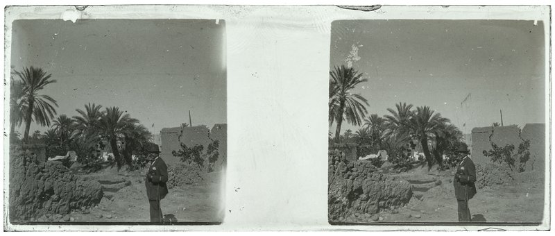 Algérie - 1929 — Algérie — 1929