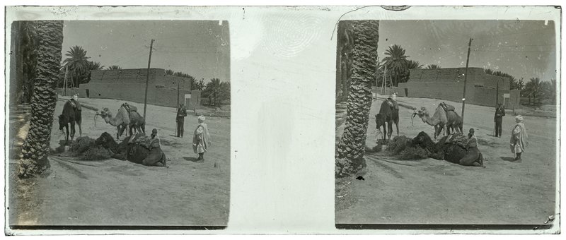 Algérie-Biskra - 1929 — Algérie-Biskra — 1929