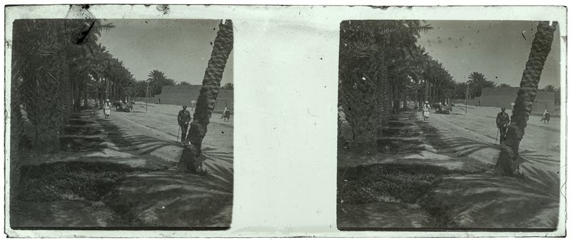 Algérie - 1929 — Algérie — 1929