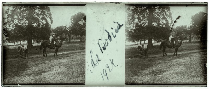 La Bodière 1924 — France-Val-du-Layon La bodière — 1924