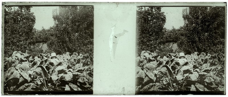 France-Lille-Esquermes — France-Lille-Esquermes