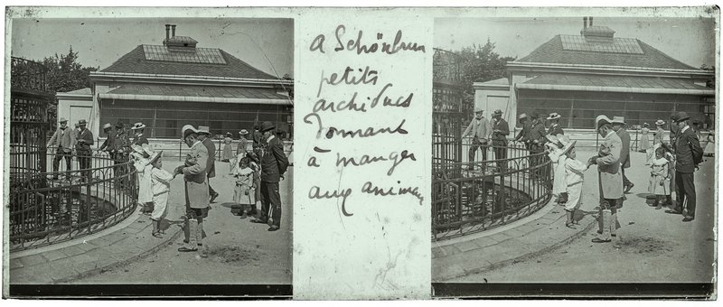 A Schönbrunn petits archiducs donnant à manger aux animaux — Autriche-Vienne Chateau de Schonbrunn — 1902