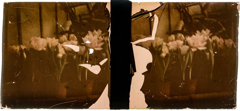 France-Lille-Esquermes — France-Lille-Esquermes